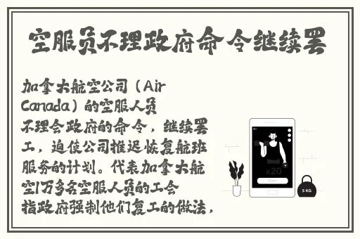 美美哒高清电影